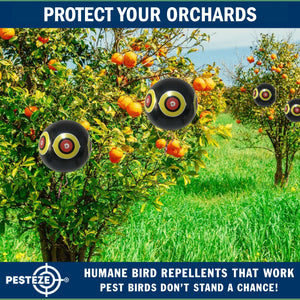 PESTEZE® Large 15" Black Bird Scare-Eye Balloon Decoy [1 Pack]  Deters Unwanted Pest Birds like Pigeons, Gulls, Geese & Critters from Pools & Yards Without Harming Them To Protect Property