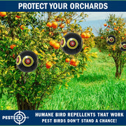 PESTEZE® USA Large 15" Black Bird Predator-Eye Balloon Decoy [3 Pack Black Color]  Deters Unwanted Pest Birds like Pigeons, Gulls, Geese & Critters from Pools & Yards Without Harming Them To Protect Property