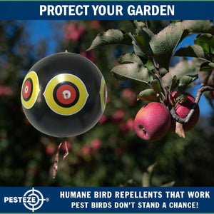 PESTEZE® Large 15" Black Bird Scare-Eye Balloon Decoy [1 Pack]  Deters Unwanted Pest Birds like Pigeons, Gulls, Geese & Critters from Pools & Yards Without Harming Them To Protect Property