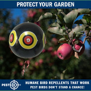 PESTEZE® USA Large 15" Black Bird Predator-Eye Balloon Decoy [3 Pack Black Color]  Deters Unwanted Pest Birds like Pigeons, Gulls, Geese & Critters from Pools & Yards Without Harming Them To Protect Property