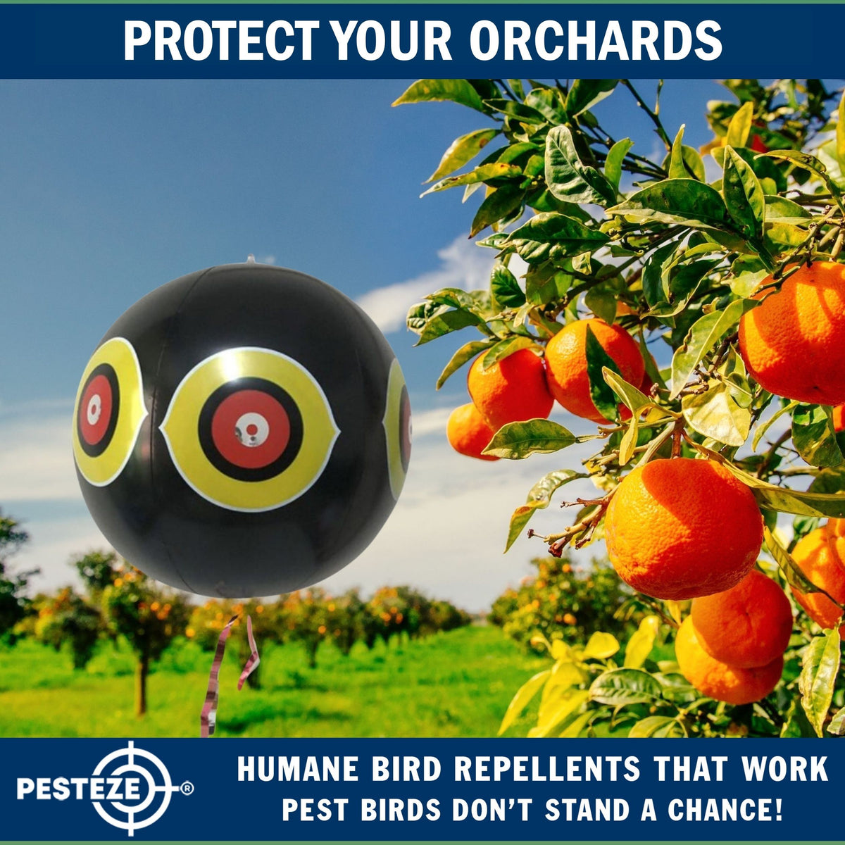 PESTEZE® USA Large 15" Black Bird Predator-Eye Balloon Decoy [3 Pack Black Color]  Deters Unwanted Pest Birds like Pigeons, Gulls, Geese & Critters from Pools & Yards Without Harming Them To Protect Property
