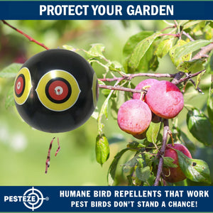 PESTEZE® Large 15" Black Bird Scare-Eye Balloon Decoy [1 Pack]  Deters Unwanted Pest Birds like Pigeons, Gulls, Geese & Critters from Pools & Yards Without Harming Them To Protect Property