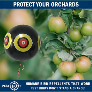 PESTEZE® Large 15" Black Bird Scare-Eye Balloon Decoy [1 Pack]  Deters Unwanted Pest Birds like Pigeons, Gulls, Geese & Critters from Pools & Yards Without Harming Them To Protect Property