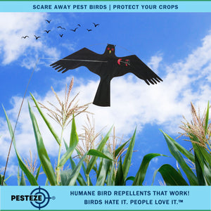 PESTEZE® Black Flying Hawk 46 x 26 Inch Kite Bird Deterrent with 13 ft Flagpole. Use in Yards & Farms to Protect Vegetables, Fruits, Crops & Property from Pest Birds & Critters without Harming them