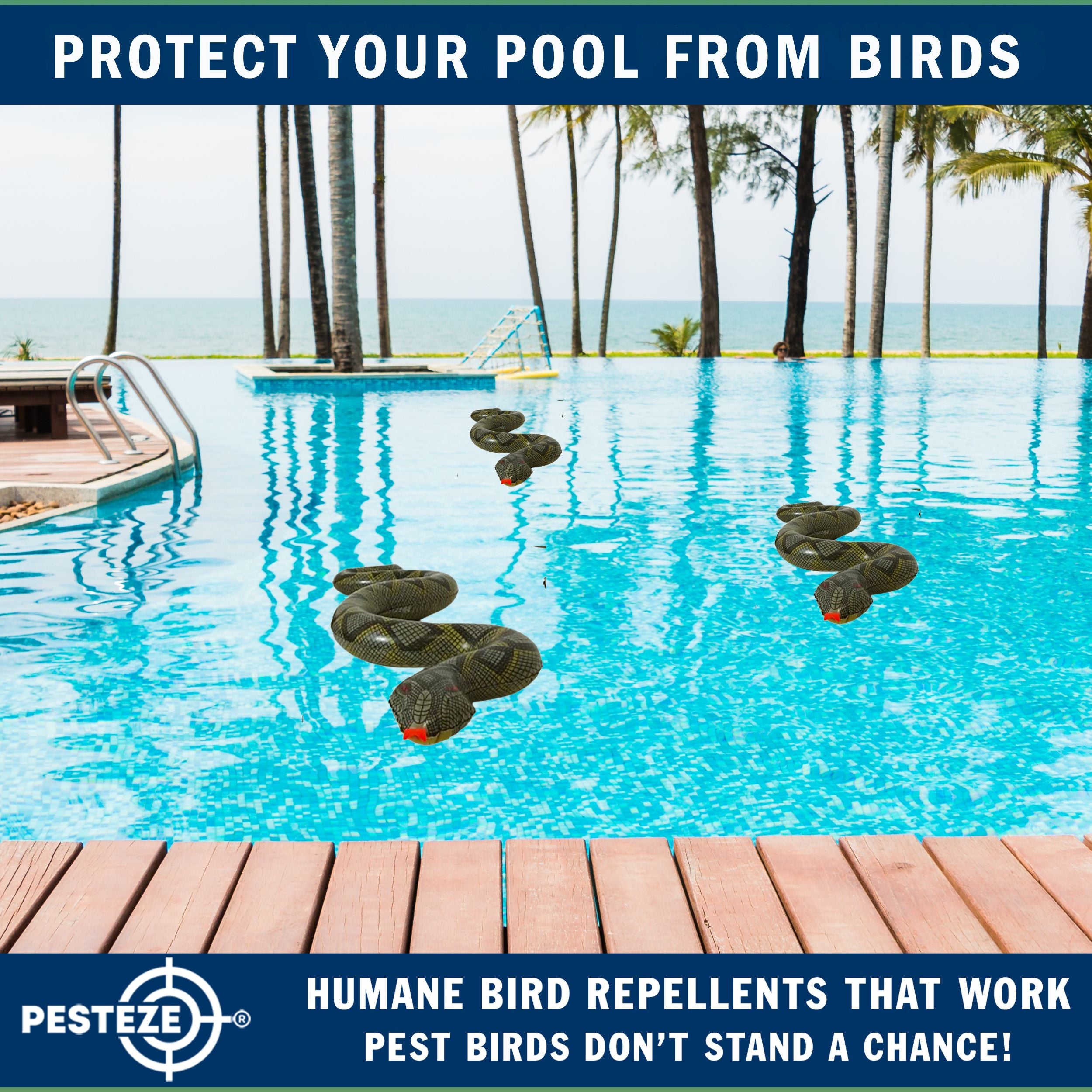 PESTEZE® Brown & Green 39 Inch Realistic Inflatable Snakes [2 Pack] Scares Pest Birds  like Woodpeckers, Sparrows, Pigeons, Crows, Gulls & Critters from Pools & Yards without Harming them to Protect Property
