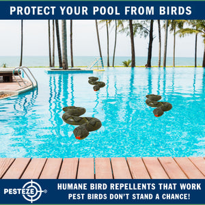 PESTEZE® Green 39 Inch Realistic Inflatable Snakes [3 Pack] Deters Pest Birds like Woodpeckers, Sparrows, Pigeons, Crows, Gulls & Critters from Pools & Yards without Harming them to Protect Property