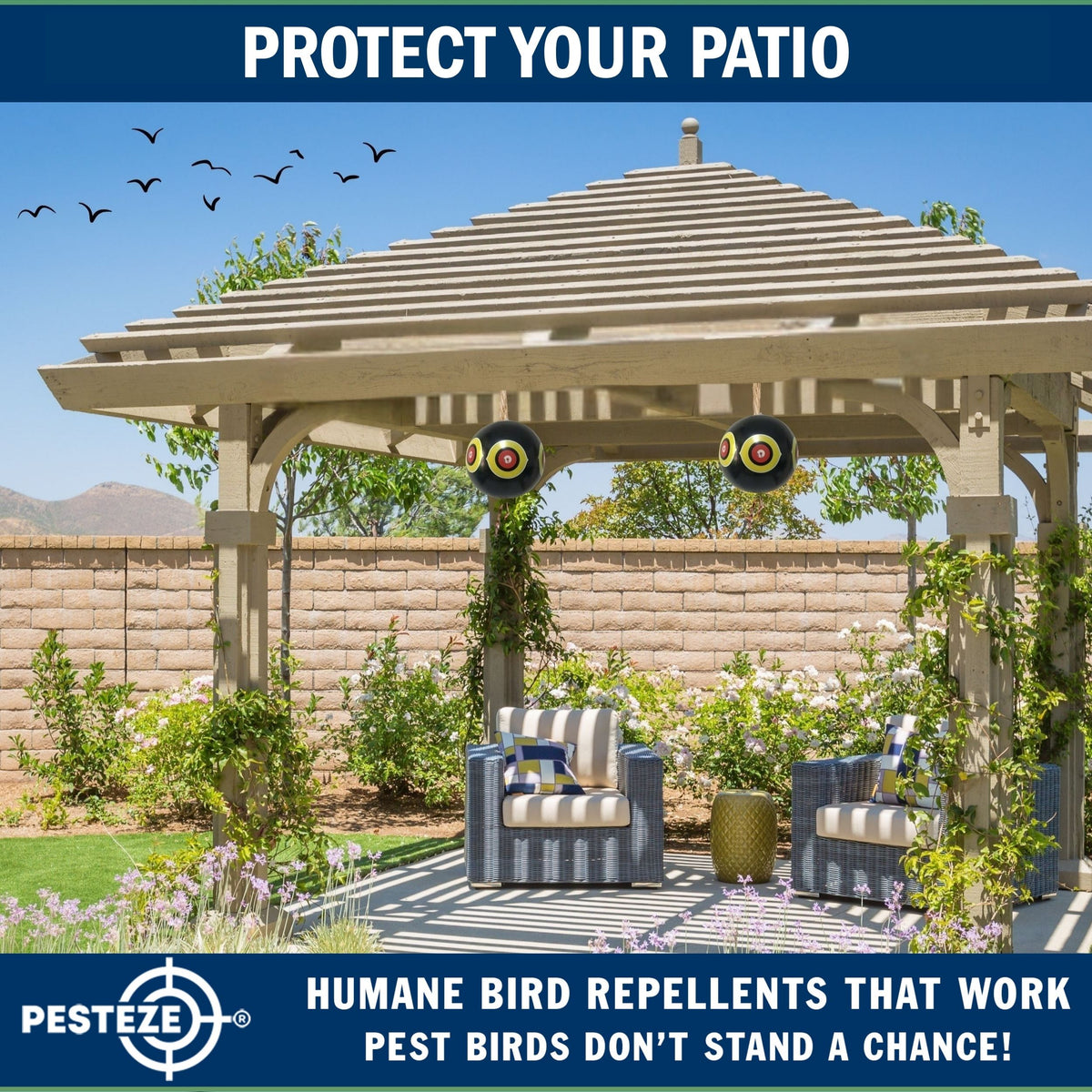 PESTEZE® USA Large 15" Black Bird Predator-Eye Balloon Decoy [3 Pack Black Color]  Deters Unwanted Pest Birds like Pigeons, Gulls, Geese & Critters from Pools & Yards Without Harming Them To Protect Property