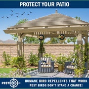 PESTEZE® USA Large 15" Black Bird Predator-Eye Balloon Decoy [3 Pack Black Color]  Deters Unwanted Pest Birds like Pigeons, Gulls, Geese & Critters from Pools & Yards Without Harming Them To Protect Property