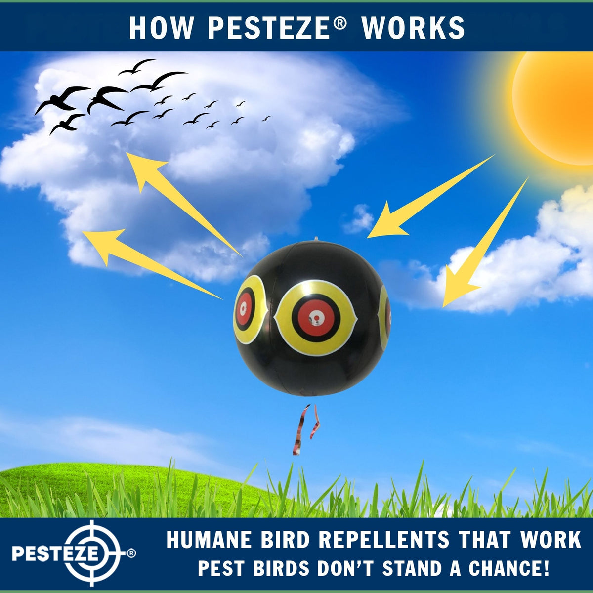PESTEZE® USA Large 15" Black Bird Predator-Eye Balloon Decoy [3 Pack Black Color]  Deters Unwanted Pest Birds like Pigeons, Gulls, Geese & Critters from Pools & Yards Without Harming Them To Protect Property