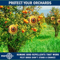 PESTEZE® Large 15" Yellow Bird Predator-Eye Balloon Repellant [4 Pack] Deters Unwanted Pest Birds like Pigeons, Gulls, Geese & Critters from Pools & Yards Without Harming Them To Protect Property