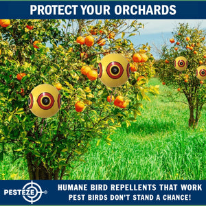 PESTEZE® Large 15" Yellow Bird Predator-Eye Balloon Repellant [4 Pack] Deters Unwanted Pest Birds like Pigeons, Gulls, Geese & Critters from Pools & Yards Without Harming Them To Protect Property