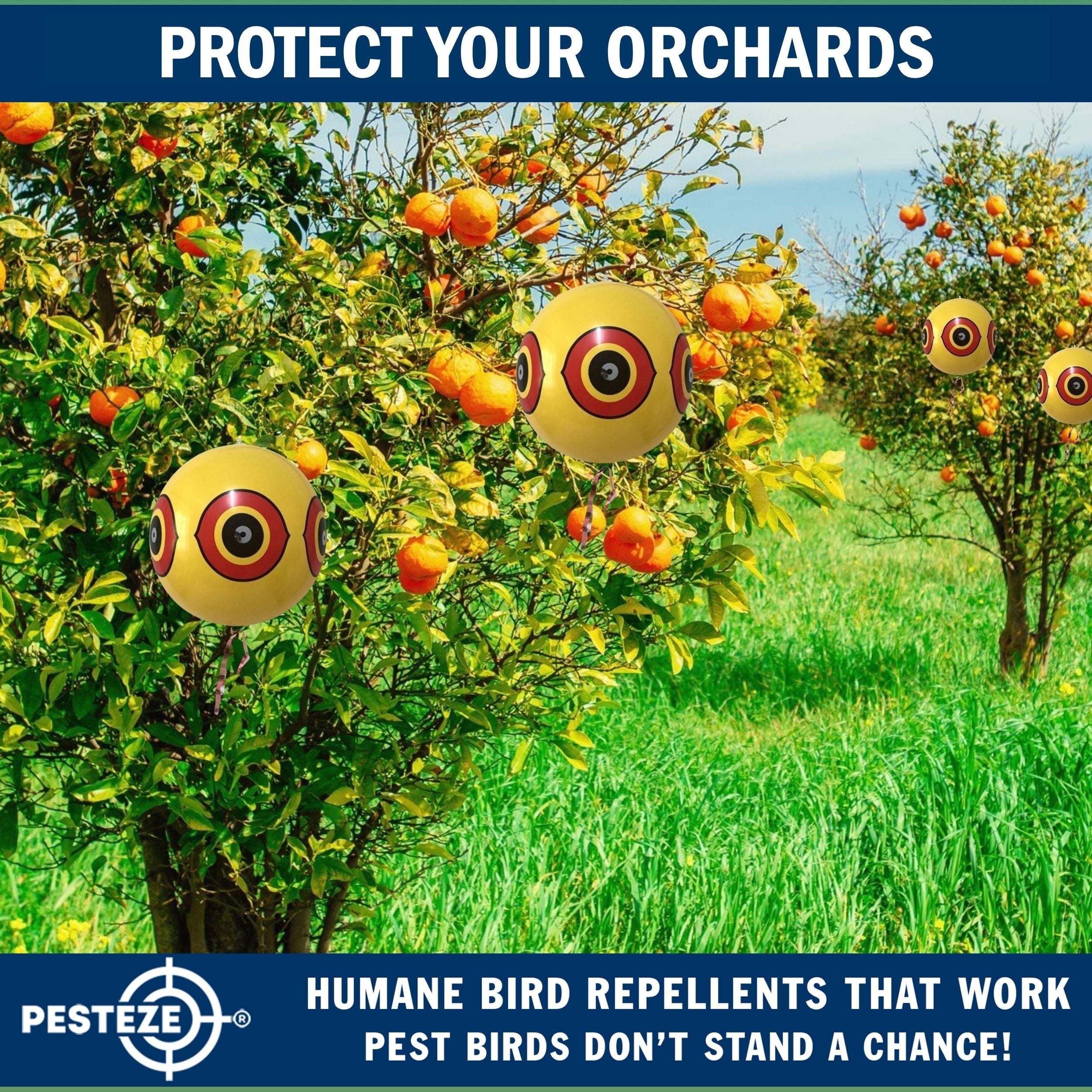 PESTEZE® USA Large 15" Yellow Bird Predator-Eye Balloon Decoy [3 Pack Yellow Color] Deters Unwanted Pest Birds like Pigeons, Gulls, Geese & Critters from Pools & Yards Without Harming Them To Protect