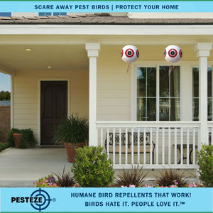 PESTEZE® Large 15" White Bird Scare-Eye Balloon Decoy [1 Pack] Deters Unwanted Pest Birds like Pigeons, Gulls, Geese & Critters from Pools & Yards Without Harming Them To Protect Property