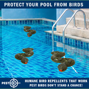 PESTEZE® USA Snake Decoy 2-Pack – Realistic 39" Inflatable Snake in Grey & Green Help Deter Birds, Squirrels & Outdoor Pests from Pool, Garden, Lawns & Yards; Lightweight Fake Reptile for Safe Property