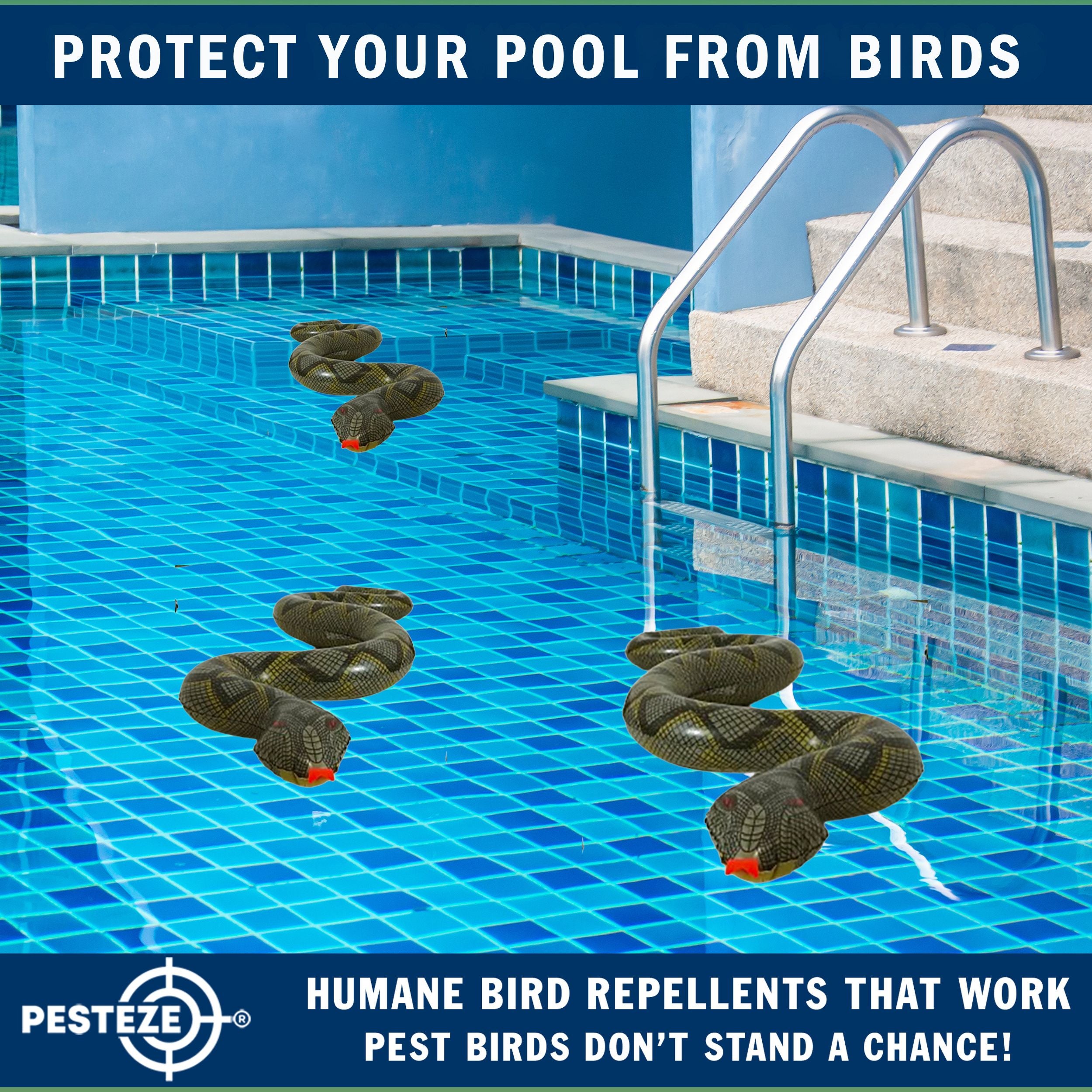 PESTEZE® Brown & Green 39 Inch Realistic Inflatable Snakes [2 Pack] Scares Pest Birds  like Woodpeckers, Sparrows, Pigeons, Crows, Gulls & Critters from Pools & Yards without Harming them to Protect Property