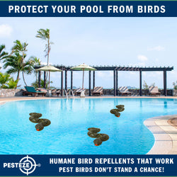 PESTEZE® Brown & Green 39 Inch Realistic Inflatable Snakes [2 Pack] Scares Pest Birds  like Woodpeckers, Sparrows, Pigeons, Crows, Gulls & Critters from Pools & Yards without Harming them to Protect Property
