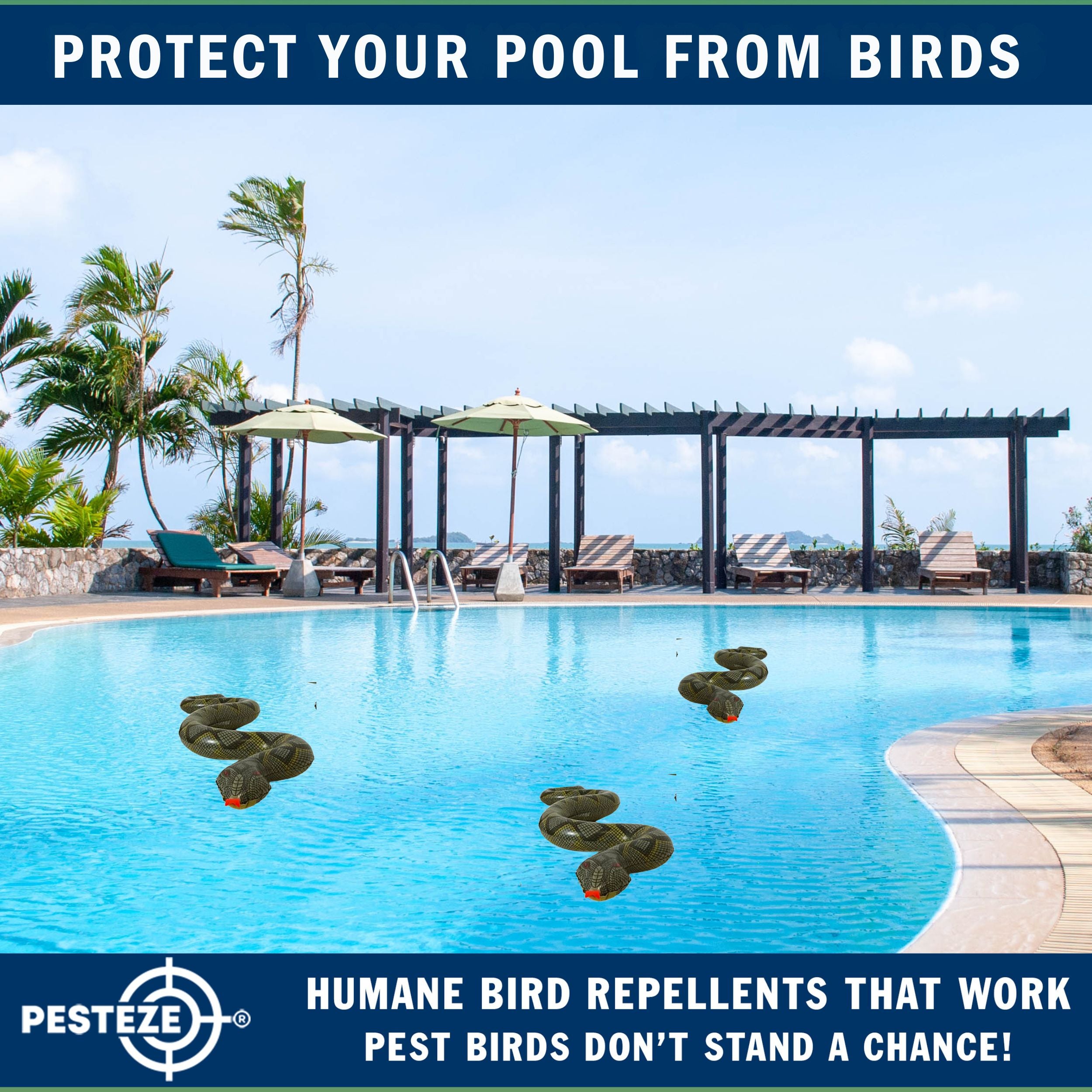 PESTEZE® Brown & Green 39 Inch Realistic Inflatable Snakes [2 Pack] Scares Pest Birds  like Woodpeckers, Sparrows, Pigeons, Crows, Gulls & Critters from Pools & Yards without Harming them to Protect Property