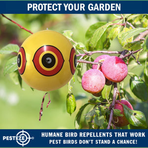 PESTEZE® Large 15" Yellow Bird Predator-Eye Balloon Repellant [4 Pack] Deters Unwanted Pest Birds like Pigeons, Gulls, Geese & Critters from Pools & Yards Without Harming Them To Protect Property