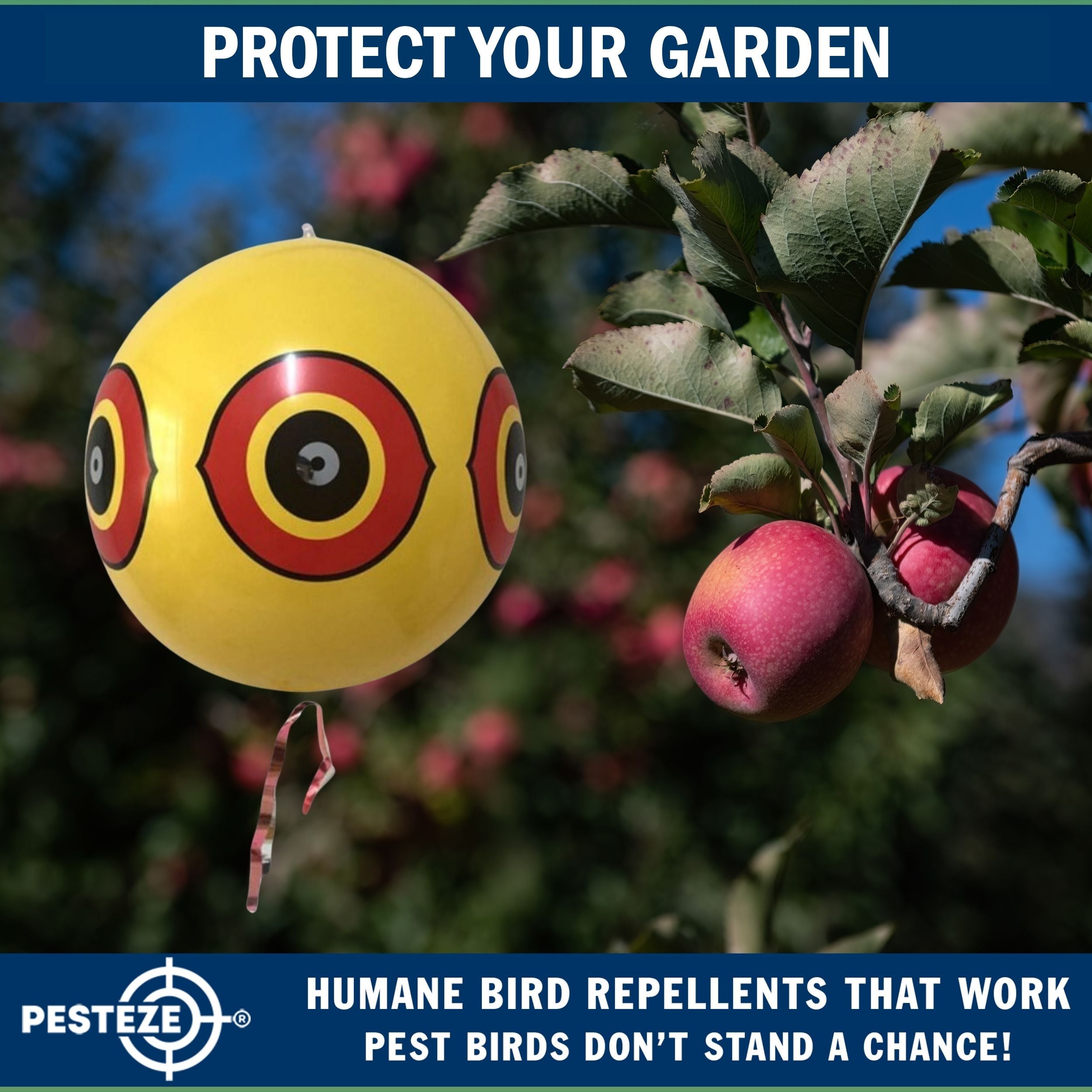 PESTEZE® USA Large 15" Yellow Bird Predator-Eye Balloon Decoy [3 Pack Yellow Color] Deters Unwanted Pest Birds like Pigeons, Gulls, Geese & Critters from Pools & Yards Without Harming Them To Protect