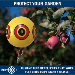 PESTEZE® USA Large 15" Yellow Bird Predator-Eye Balloon Decoy [2 Pack Yellow Color] Deters Unwanted Pest Birds like Pigeons, Gulls, Geese & Critters from Pools & Yards Without Harming Them To Protect