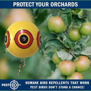 PESTEZE® Large 15" Yellow Bird Predator-Eye Balloon Repellant [4 Pack] Deters Unwanted Pest Birds like Pigeons, Gulls, Geese & Critters from Pools & Yards Without Harming Them To Protect Property