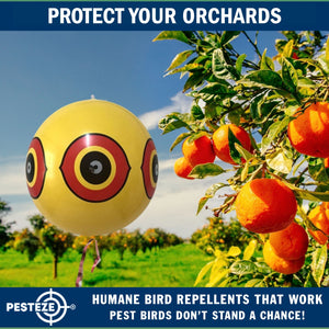 PESTEZE® Large 15" Yellow Bird Predator-Eye Balloon Repellant [4 Pack] Deters Unwanted Pest Birds like Pigeons, Gulls, Geese & Critters from Pools & Yards Without Harming Them To Protect Property