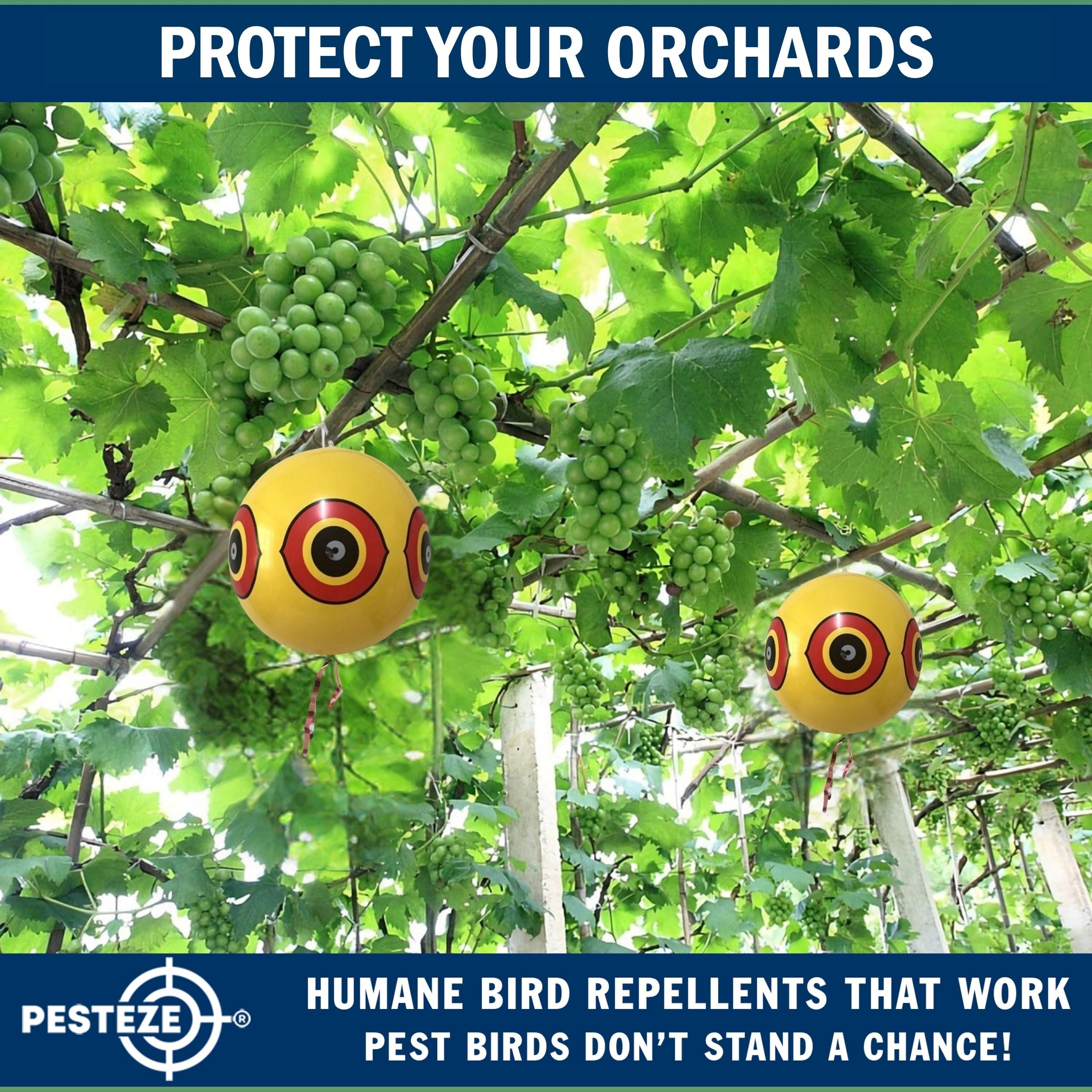 PESTEZE® USA Large 15" Yellow Bird Predator-Eye Balloon Decoy [3 Pack Yellow Color] Deters Unwanted Pest Birds like Pigeons, Gulls, Geese & Critters from Pools & Yards Without Harming Them To Protect