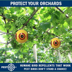 PESTEZE® Large 15" Yellow Bird Predator-Eye Balloon Repellant [4 Pack] Deters Unwanted Pest Birds like Pigeons, Gulls, Geese & Critters from Pools & Yards Without Harming Them To Protect Property