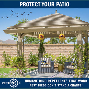 PESTEZE® Large 15" Yellow Bird Predator-Eye Balloon Repellant [4 Pack] Deters Unwanted Pest Birds like Pigeons, Gulls, Geese & Critters from Pools & Yards Without Harming Them To Protect Property