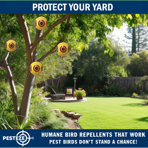 PESTEZE® Large 15" Yellow Bird Predator-Eye Balloon Repellant [4 Pack] Deters Unwanted Pest Birds like Pigeons, Gulls, Geese & Critters from Pools & Yards Without Harming Them To Protect Property