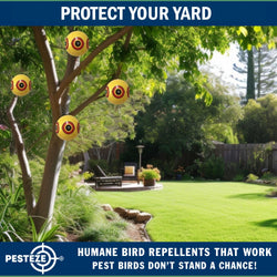PESTEZE® USA Large 15" Yellow Bird Predator-Eye Balloon Decoy [2 Pack Yellow Color] Deters Unwanted Pest Birds like Pigeons, Gulls, Geese & Critters from Pools & Yards Without Harming Them To Protect