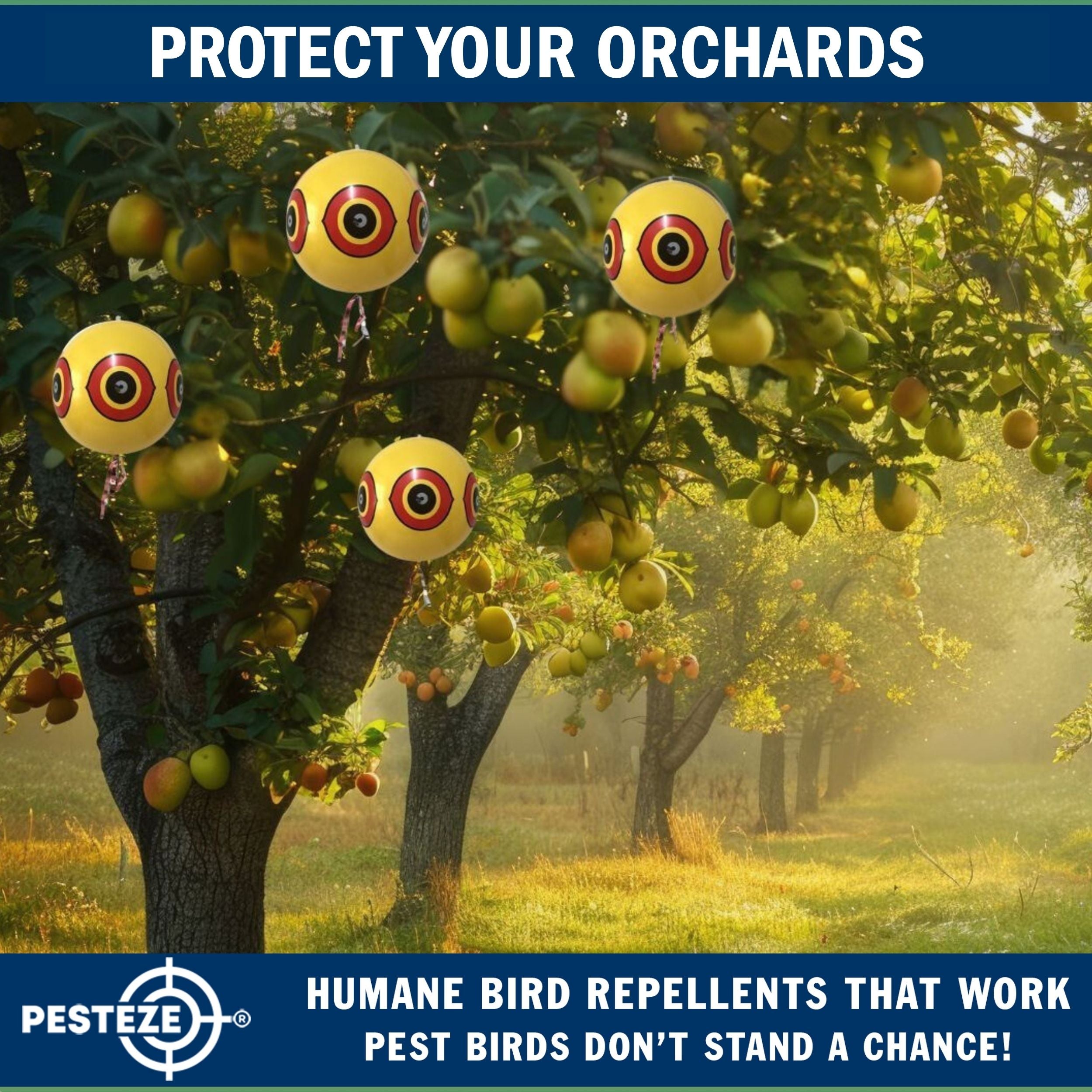 PESTEZE® USA Large 15" Yellow Bird Predator-Eye Balloon Decoy [2 Pack Yellow Color] Deters Unwanted Pest Birds like Pigeons, Gulls, Geese & Critters from Pools & Yards Without Harming Them To Protect