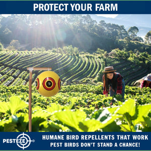 PESTEZE® Large 15" Yellow Bird Predator-Eye Balloon Repellant [4 Pack] Deters Unwanted Pest Birds like Pigeons, Gulls, Geese & Critters from Pools & Yards Without Harming Them To Protect Property