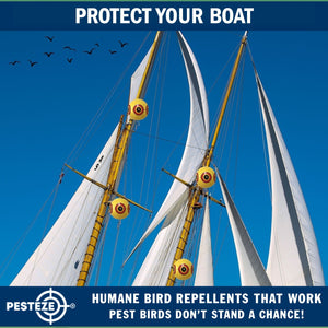 PESTEZE® Large 15" Yellow Bird Predator-Eye Balloon Repellant [4 Pack] Deters Unwanted Pest Birds like Pigeons, Gulls, Geese & Critters from Pools & Yards Without Harming Them To Protect Property