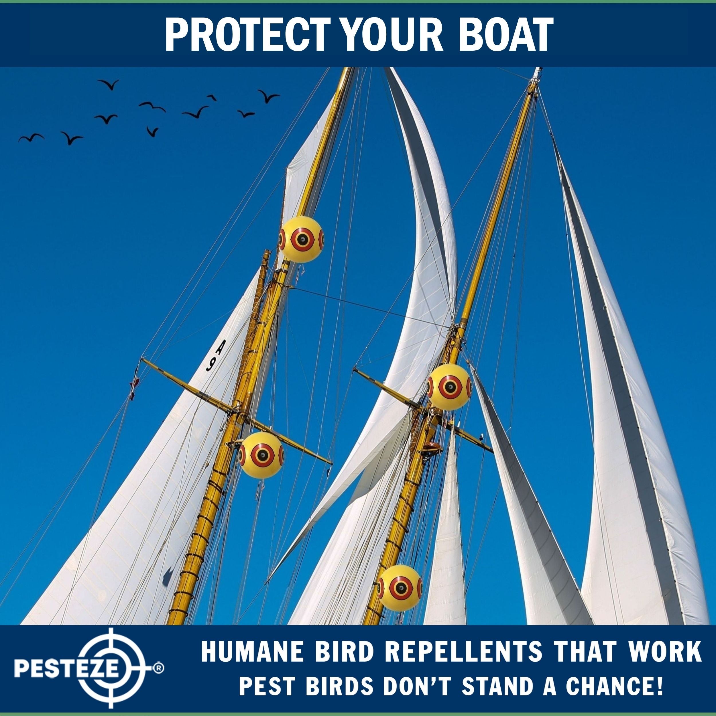 PESTEZE® USA Large 15" Yellow Bird Predator-Eye Balloon Decoy [3 Pack Yellow Color] Deters Unwanted Pest Birds like Pigeons, Gulls, Geese & Critters from Pools & Yards Without Harming Them To Protect