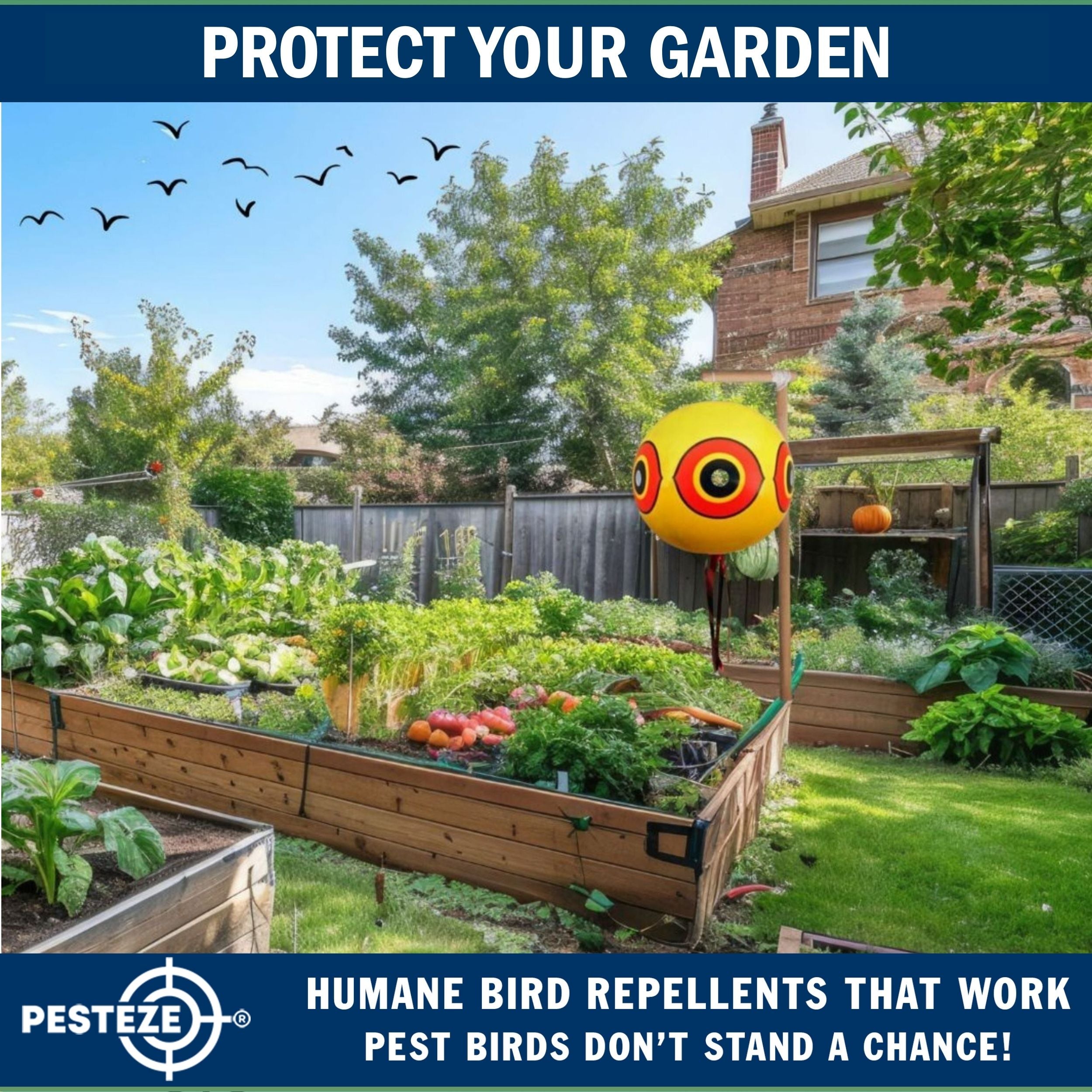 PESTEZE® USA Large 15" Yellow Bird Predator-Eye Balloon Decoy [2 Pack Yellow Color] Deters Unwanted Pest Birds like Pigeons, Gulls, Geese & Critters from Pools & Yards Without Harming Them To Protect