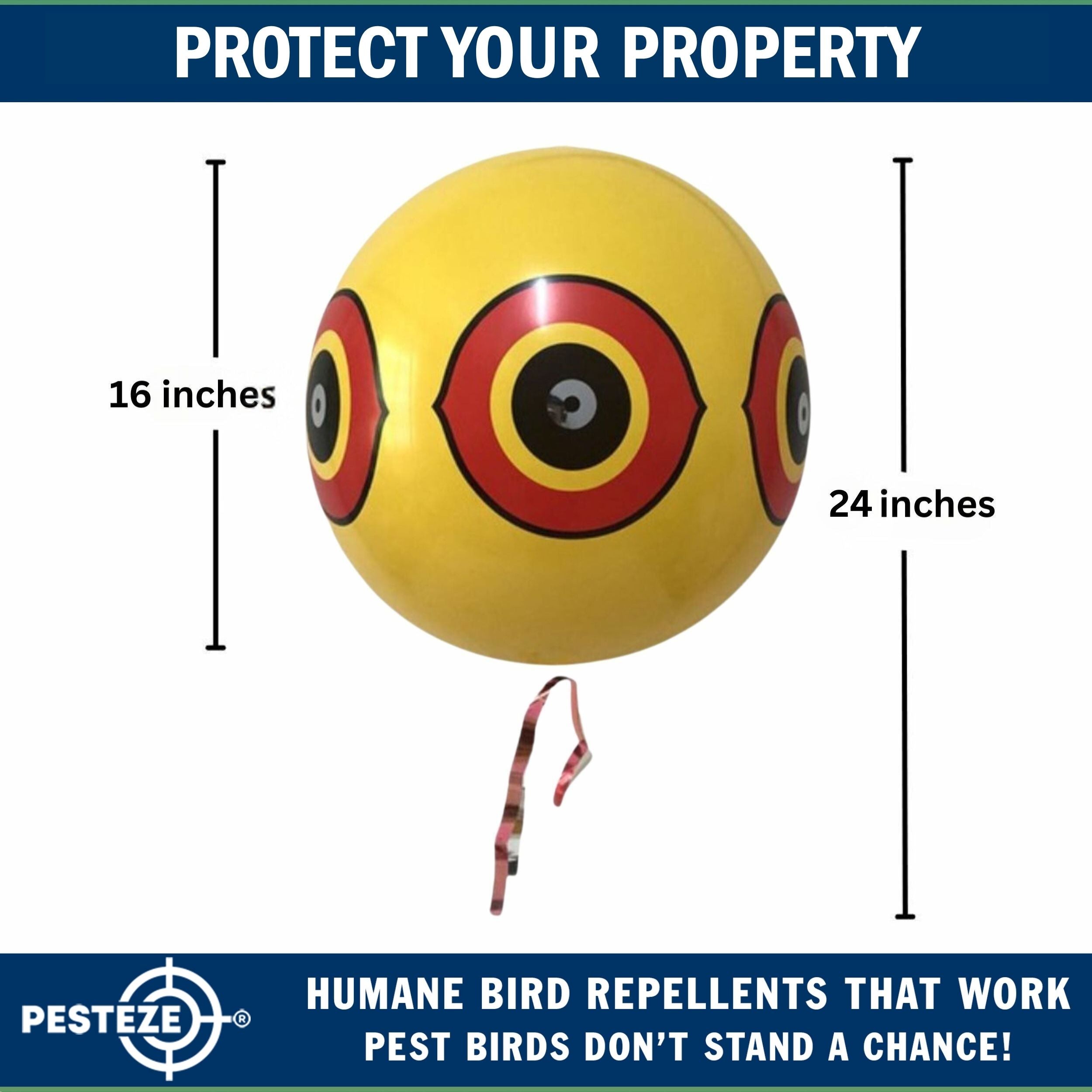 PESTEZE® Large 15" Yellow Bird Predator-Eye Balloon Repellant [4 Pack] Deters Unwanted Pest Birds like Pigeons, Gulls, Geese & Critters from Pools & Yards Without Harming Them To Protect Property