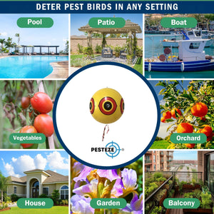 PESTEZE® Large 15" Yellow & Red, Bird Scare-Eye Balloon Repellents [2 Pack Multi-Color] Deters Unwanted Pest Birds like Ducks Pigeons, Gulls, Geese & Critters from Pools & Yards Without Harming Them To Protect Property