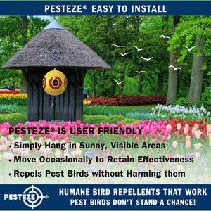 PESTEZE® Large 15" Yellow Bird Predator-Eye Balloon Repellant [4 Pack] Deters Unwanted Pest Birds like Pigeons, Gulls, Geese & Critters from Pools & Yards Without Harming Them To Protect Property
