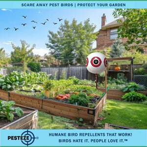 PESTEZE® Large 15" White Bird Scare-Eye Balloon Decoy [1 Pack] Deters Unwanted Pest Birds like Pigeons, Gulls, Geese & Critters from Pools & Yards Without Harming Them To Protect Property