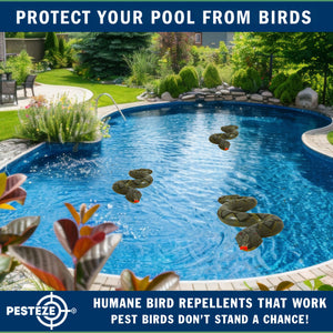 PESTEZE® Green 39 Inch Realistic Inflatable Snakes [3 Pack] Deters Pest Birds like Woodpeckers, Sparrows, Pigeons, Crows, Gulls & Critters from Pools & Yards without Harming them to Protect Property