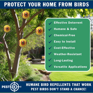 PESTEZE® Large 15" Yellow & Red, Bird Scare-Eye Balloon Repellents [2 Pack Multi-Color] Deters Unwanted Pest Birds like Ducks Pigeons, Gulls, Geese & Critters from Pools & Yards Without Harming Them To Protect Property