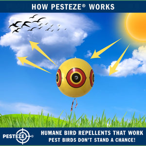 PESTEZE® Large 15" Yellow & Red, Bird Scare-Eye Balloon Repellents [2 Pack Multi-Color] Deters Unwanted Pest Birds like Ducks Pigeons, Gulls, Geese & Critters from Pools & Yards Without Harming Them To Protect Property
