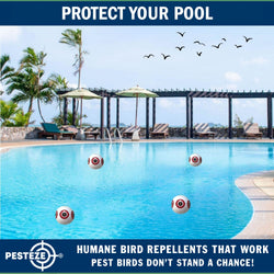 PESTEZE® Large 15" White Bird Predator-Eye Balloon Decoy [1 Pack] Deters Unwanted Pest Birds like Pigeons, Gulls, Geese & Critters from Pools & Yards Without Harming Them To Protect Property