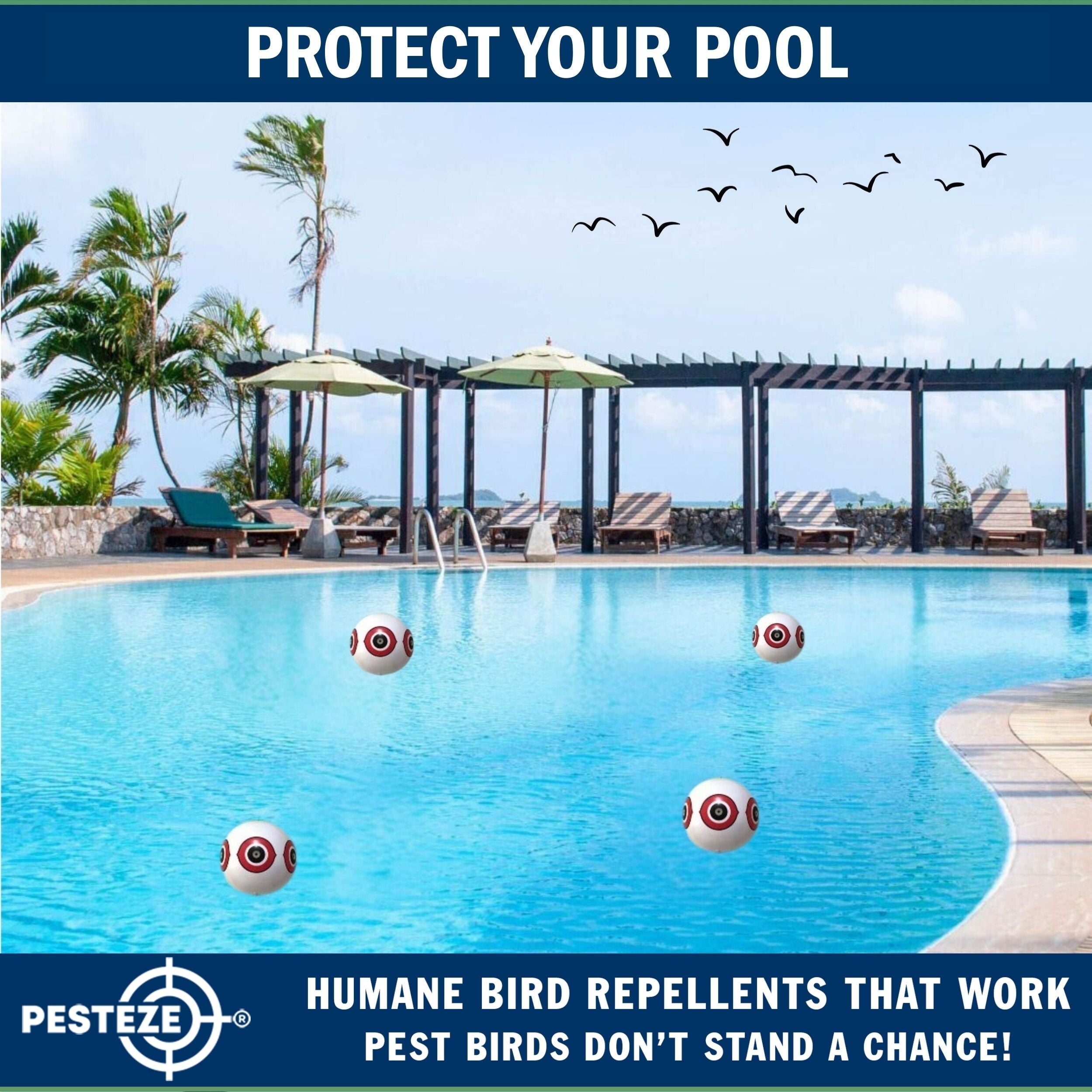 PESTEZE® USA Large 15" White Bird Predator-Eye Balloon Decoy [2 Pack White Color] Deters Unwanted Pest Birds like Pigeons, Gulls, Geese & Critters from Pools & Yards Without Harming Them To Protect Property