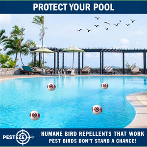 PESTEZE® Large 15" White Bird Scare-Eye Balloon Decoy [1 Pack] Deters Unwanted Pest Birds like Pigeons, Gulls, Geese & Critters from Pools & Yards Without Harming Them To Protect Property