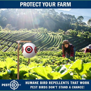 PESTEZE® Large 15" White Bird Scare-Eye Balloon Decoy [1 Pack] Deters Unwanted Pest Birds like Pigeons, Gulls, Geese & Critters from Pools & Yards Without Harming Them To Protect Property