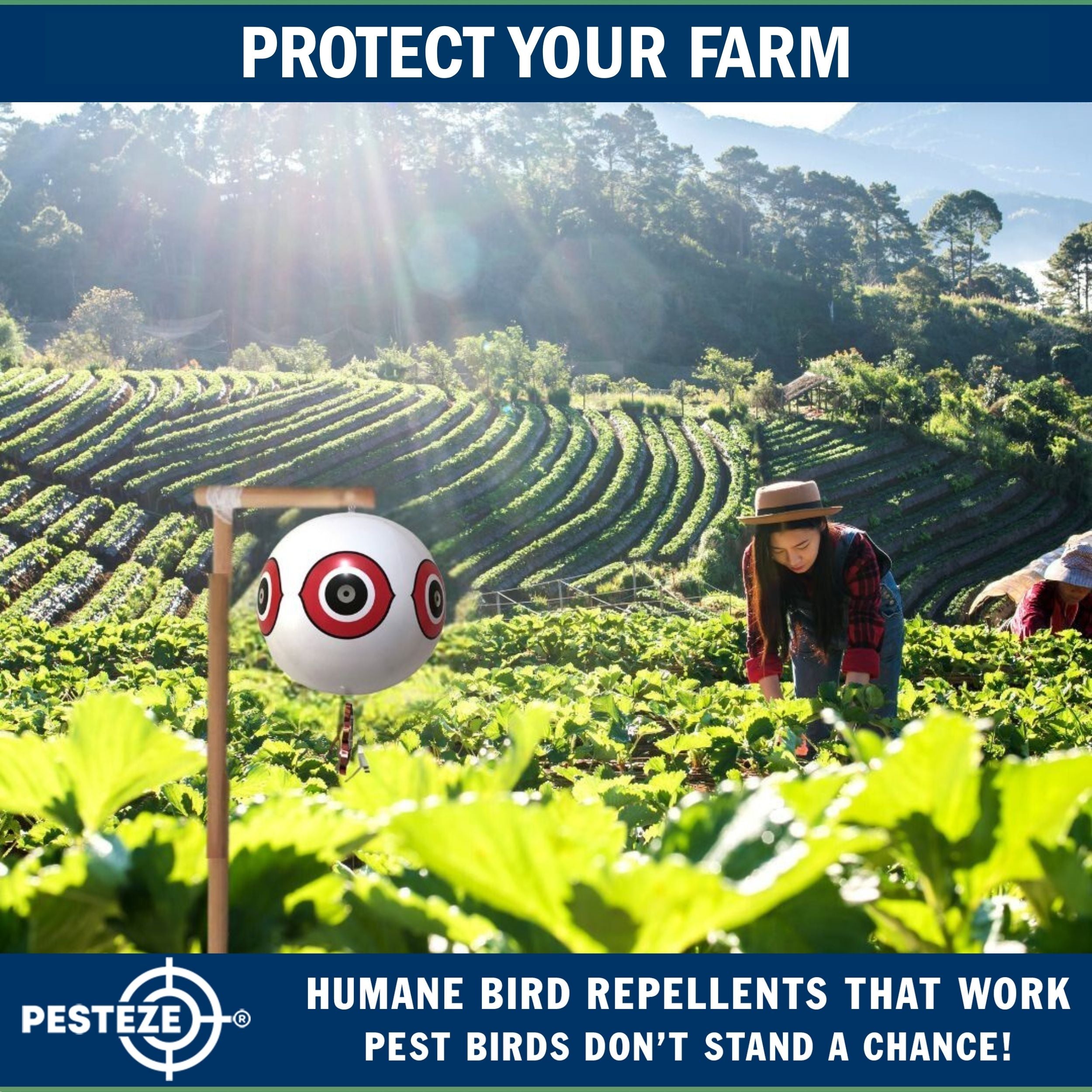 PESTEZE® USA Large 15" White Bird Predator-Eye Balloon Decoy [2 Pack White Color] Deters Unwanted Pest Birds like Pigeons, Gulls, Geese & Critters from Pools & Yards Without Harming Them To Protect Property