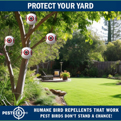 PESTEZE® Large 15" White Bird Predator-Eye Balloon Decoy [1 Pack] Deters Unwanted Pest Birds like Pigeons, Gulls, Geese & Critters from Pools & Yards Without Harming Them To Protect Property