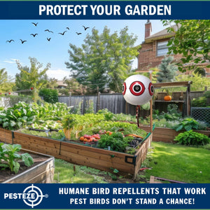 PESTEZE® Large 15" White Bird Scare-Eye Balloon Decoy [1 Pack] Deters Unwanted Pest Birds like Pigeons, Gulls, Geese & Critters from Pools & Yards Without Harming Them To Protect Property